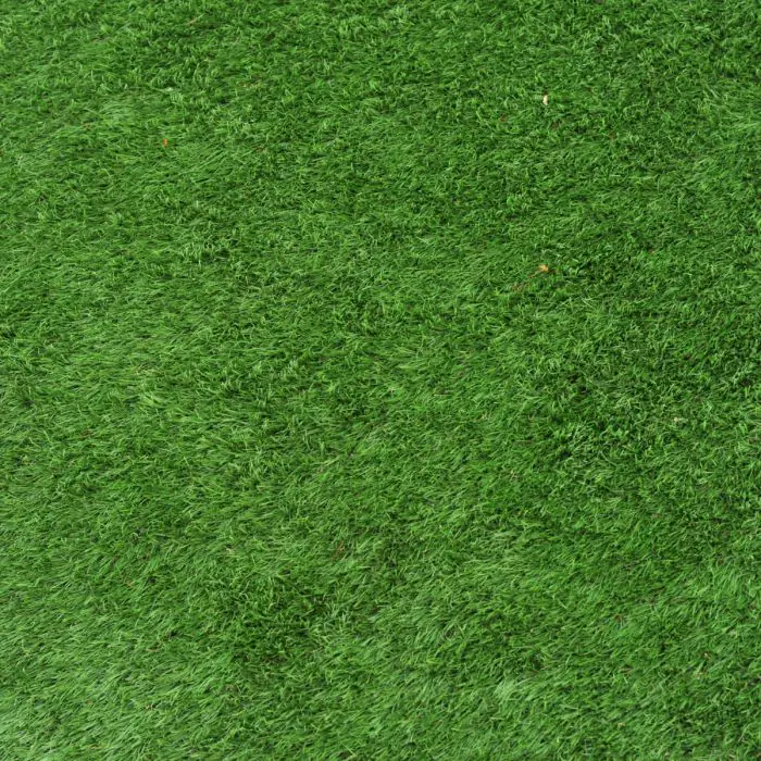 Artificial Grass - 1