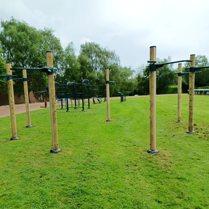 Fitness Tree - 6